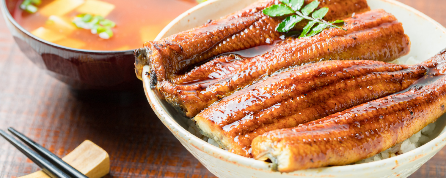 Unagi (Eel)