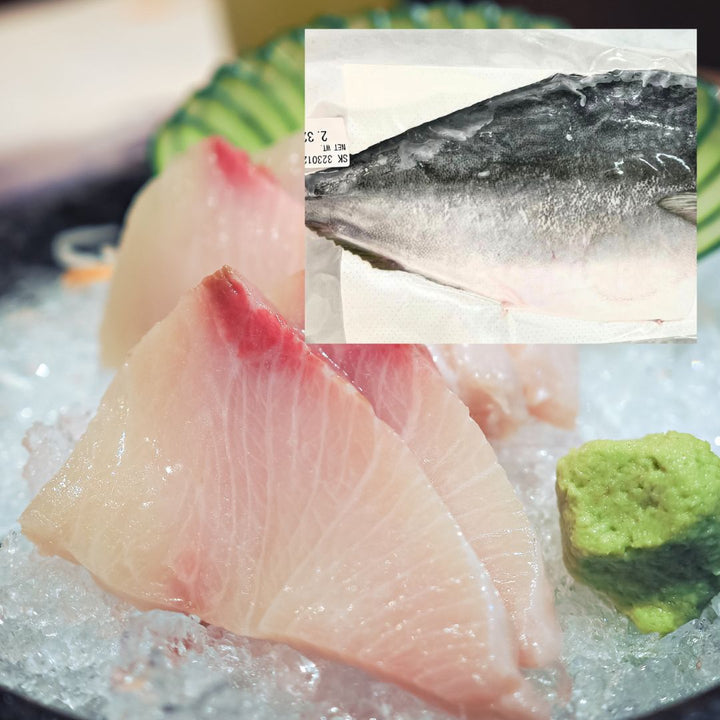 Hamachi Fillet 2kg up Sashimi Grade