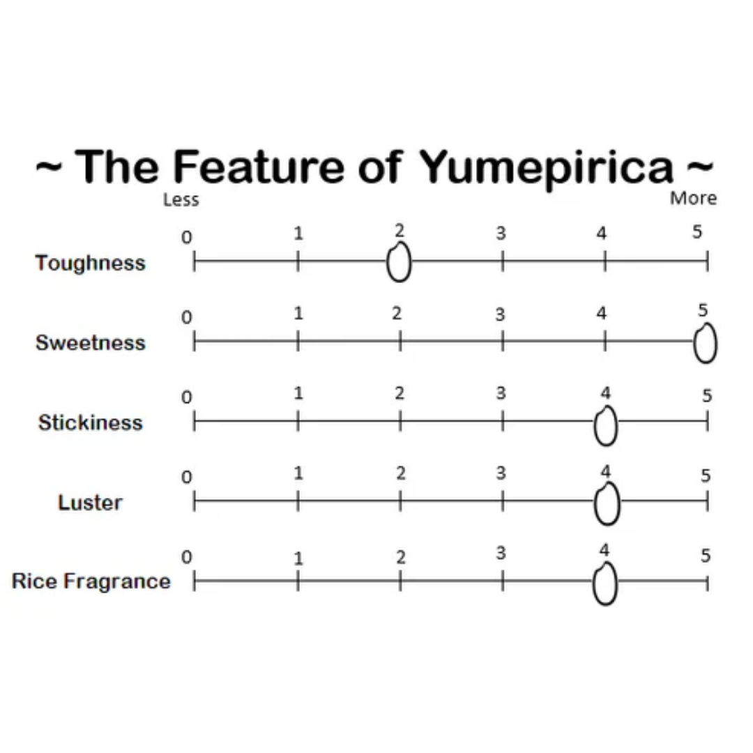 【Limited Offer】Hokkaido Yumepirika Rice 1kg (BBD:17/03/2026)