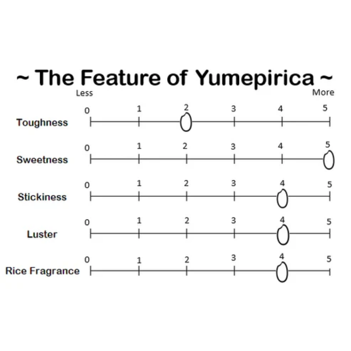 【Limited Offer】Hokkaido Yumepirika Rice 1kg (BBD:17/03/2026)