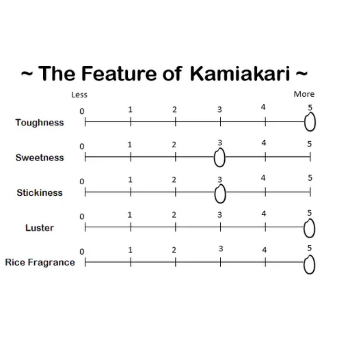 【Limited Offer】Nagano Kamiakari Brown Rice 1kg (BBD:16/08/2026)